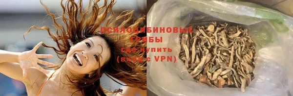 молекула духа Волоколамск