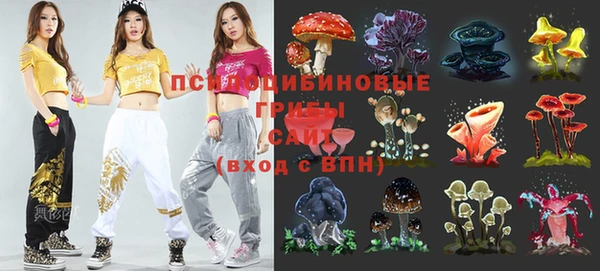 ешки Верея