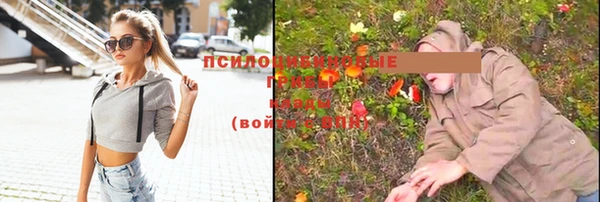 mdpv Бронницы